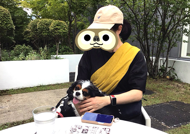 湯布院犬OKのthetheo（テテオ）犬とランチ