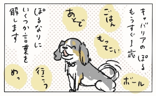 犬ハック